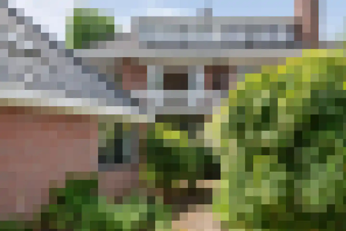 Zandvoorter Allee 43 Heemstede thumbnail 63