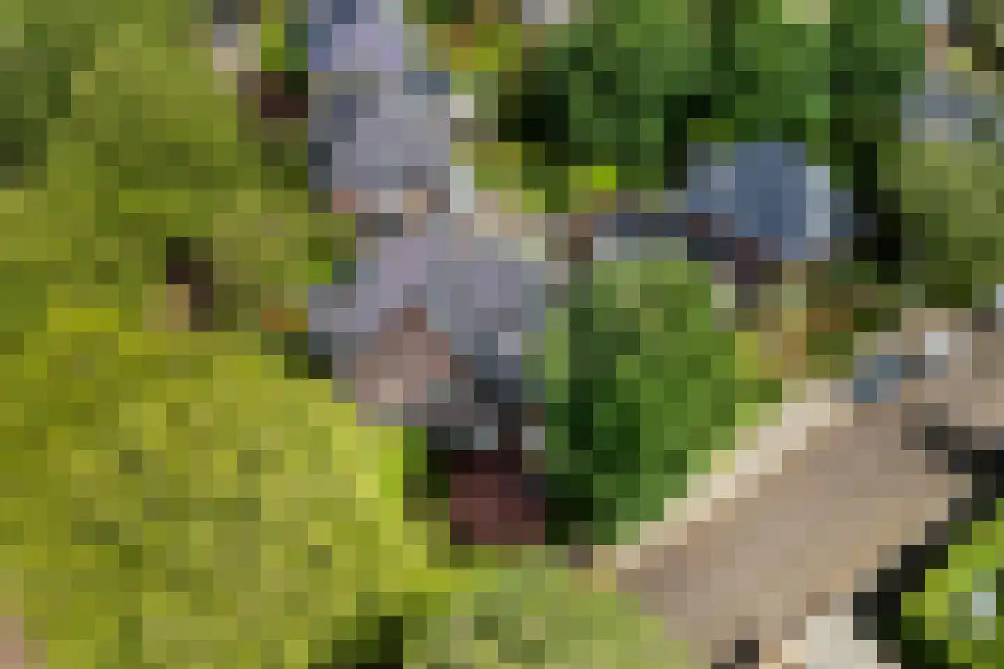 Zandvoorter Allee 43 Heemstede thumbnail 66
