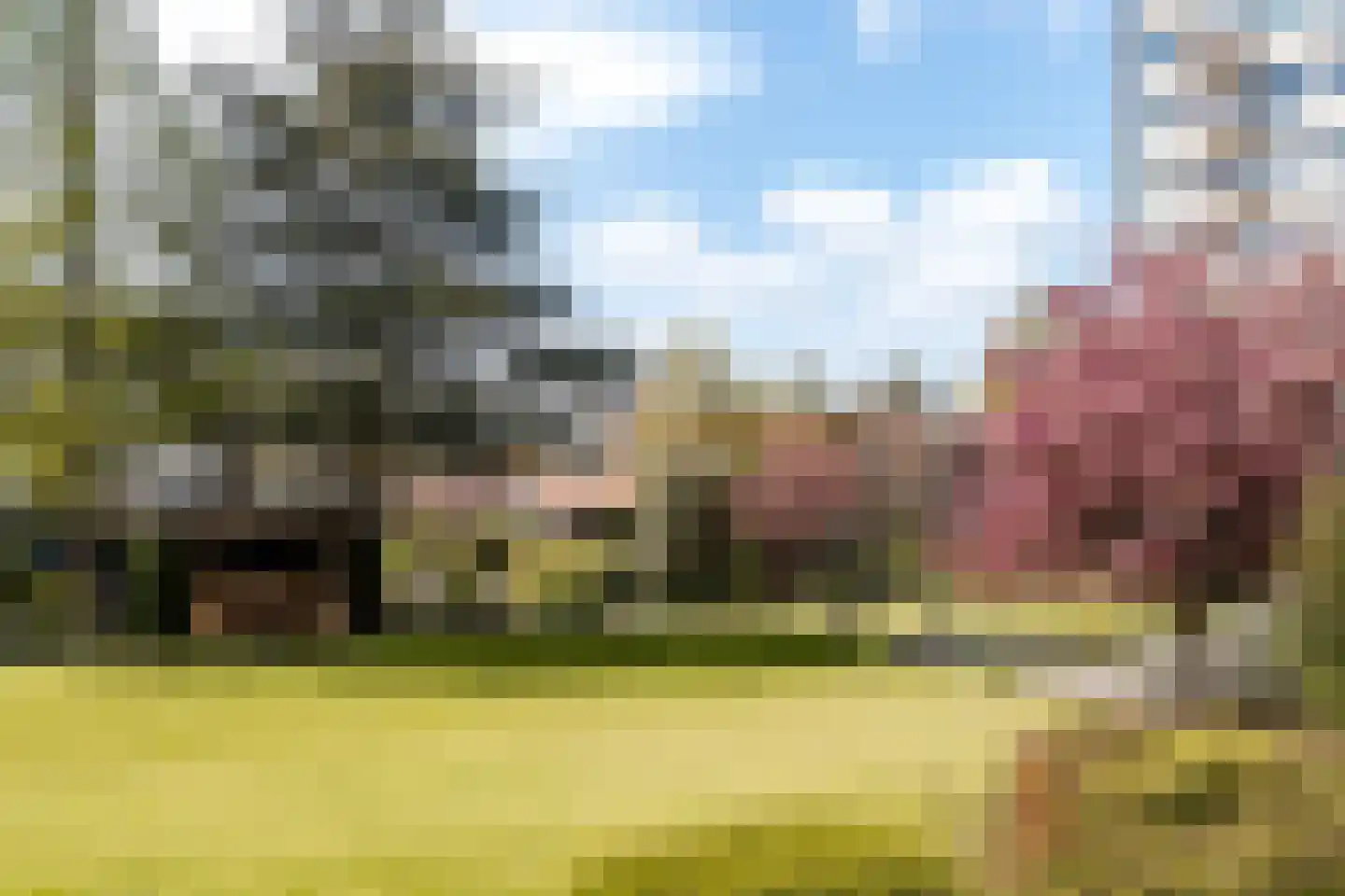 Zandvoorter Allee 50 Haarlem thumbnail 23