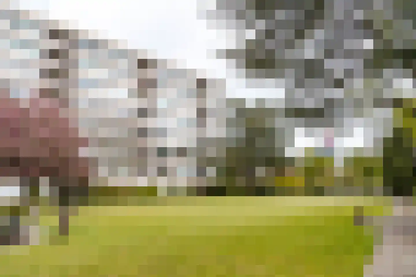 Zandvoorter Allee 50 Haarlem thumbnail 25