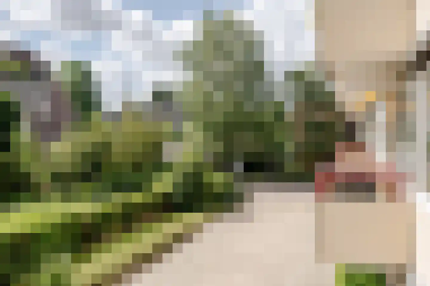 Zandvoorter Allee 60 Haarlem thumbnail 25