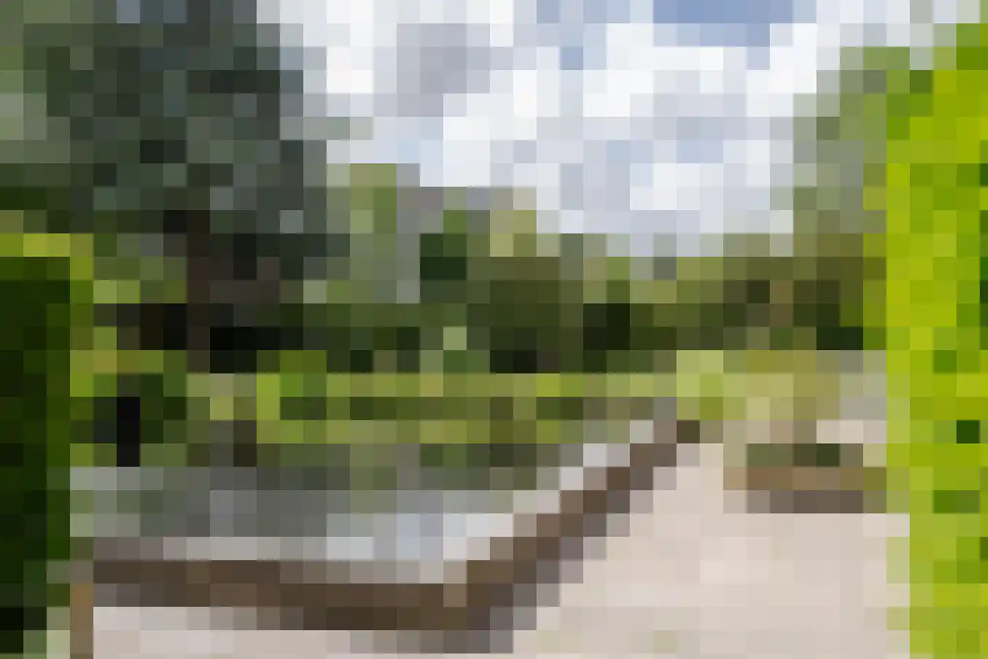 Zandvoorter Allee 60 Haarlem thumbnail 29