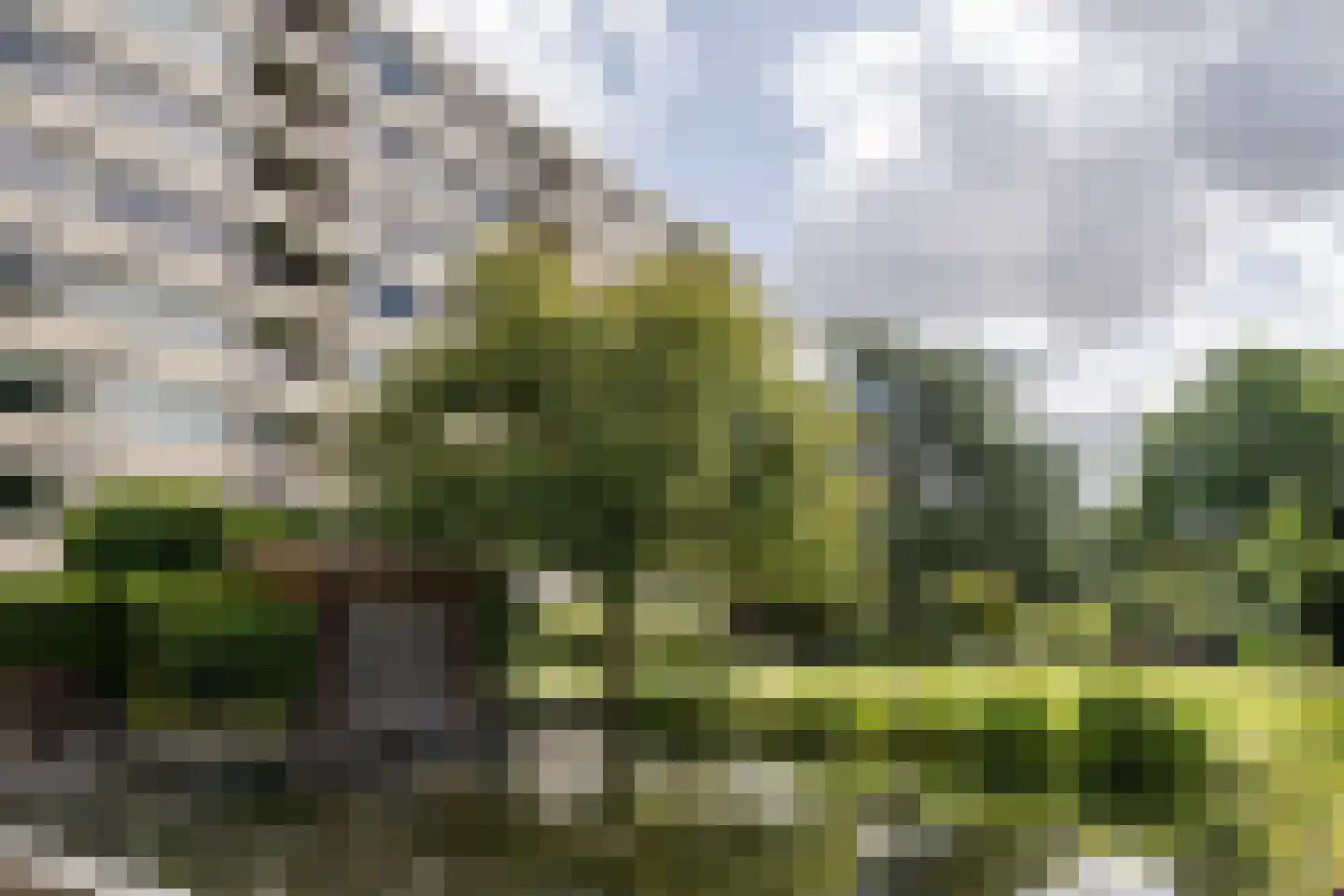Zandvoorter Allee 60 Haarlem thumbnail 30