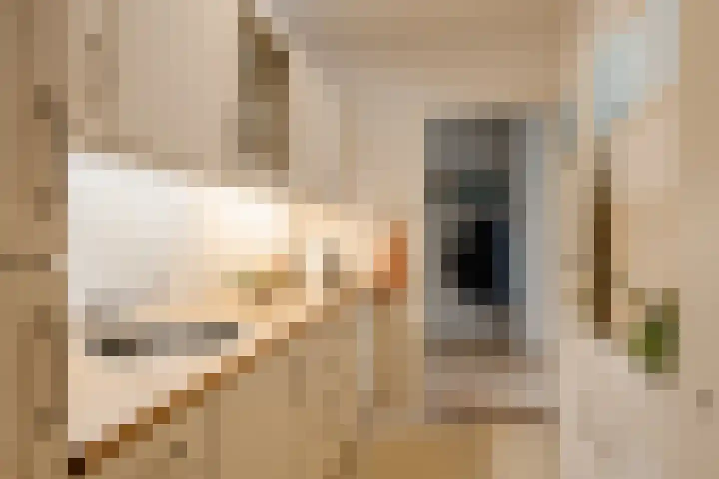 Zandvoorter Allee 60 Haarlem thumbnail 8