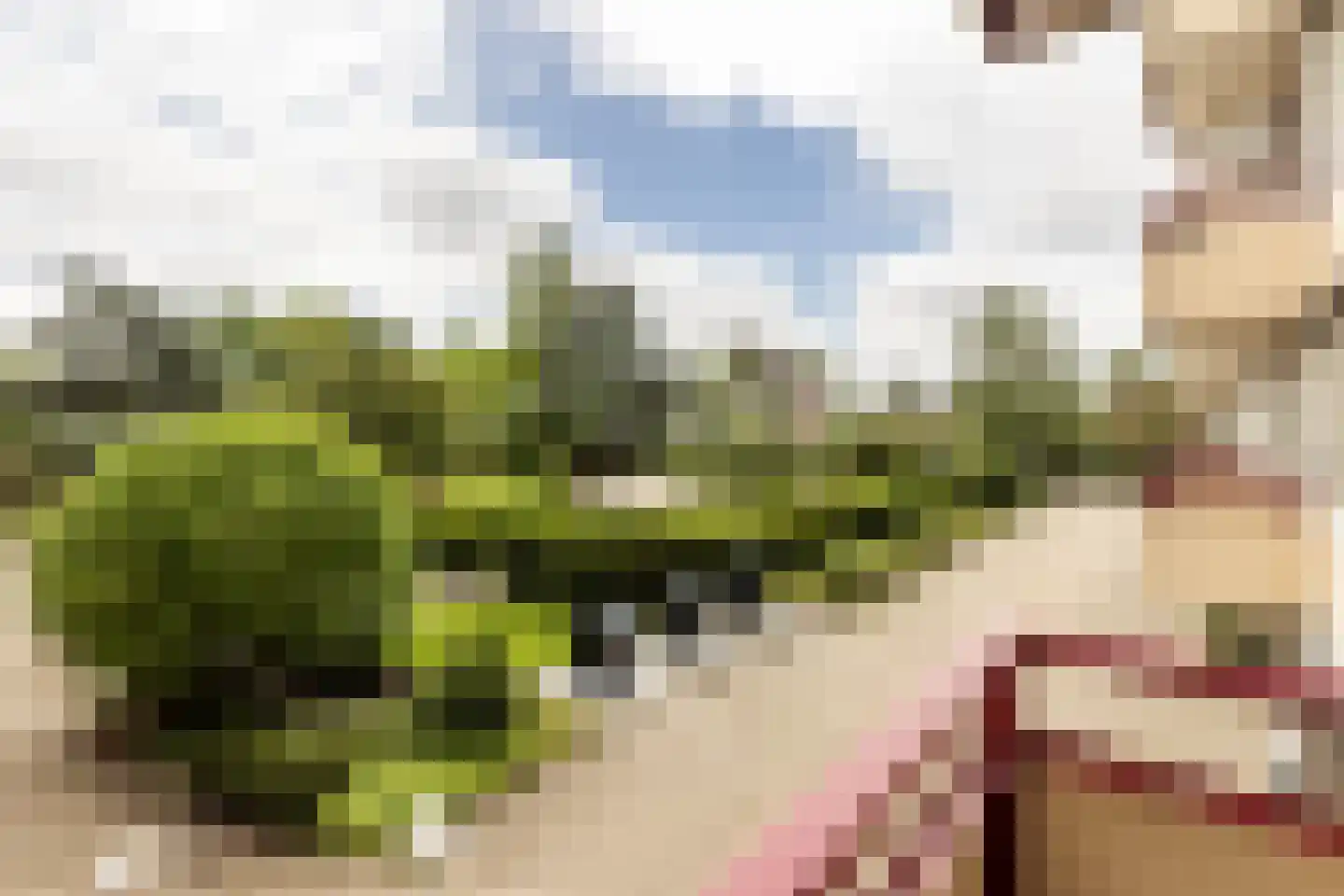 Zandvoorter Allee 62 Haarlem thumbnail 18