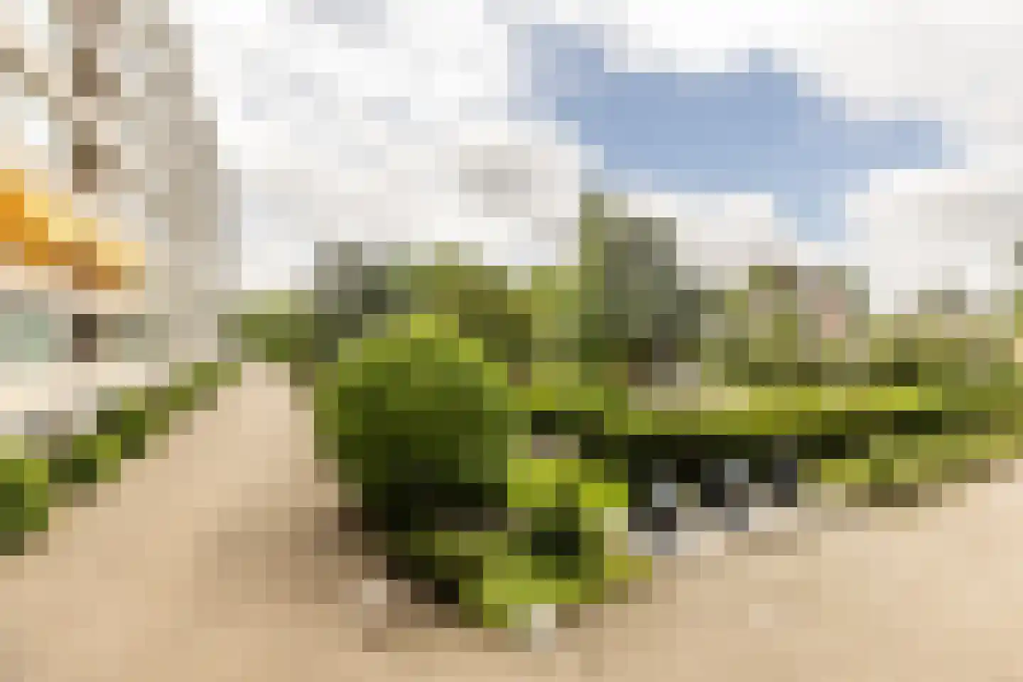 Zandvoorter Allee 62 Haarlem thumbnail 19
