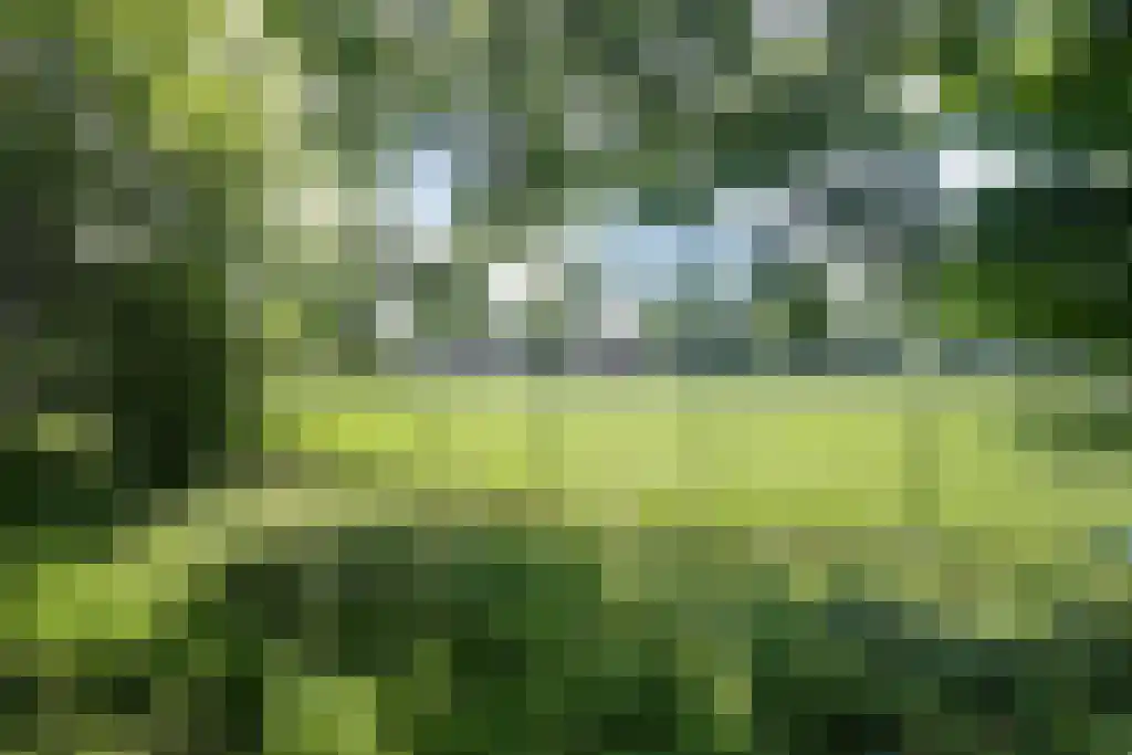 Zandvoorter Allee 62 Haarlem thumbnail 26