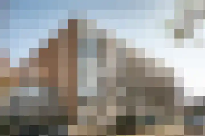 Zandvoorter Allee 76 Haarlem thumbnail 5