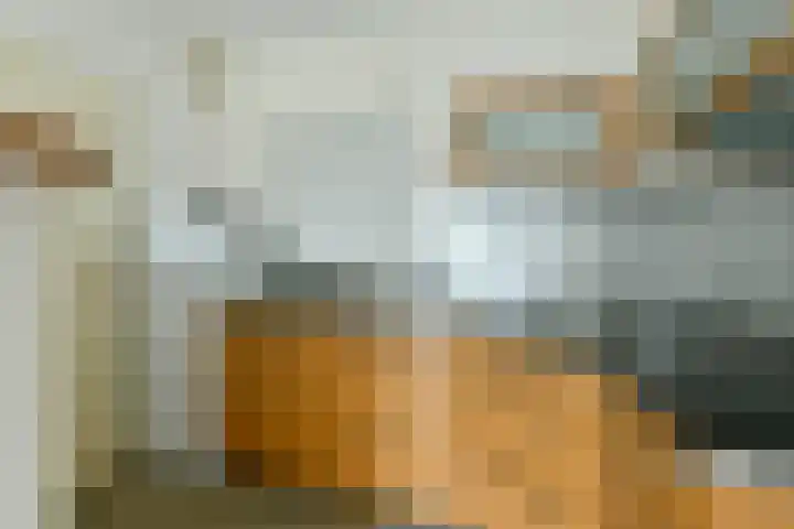 Zandvoorter Allee 94 Haarlem thumbnail 8