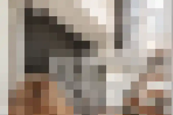 Zandvoorterpad 16 Overveen thumbnail 18