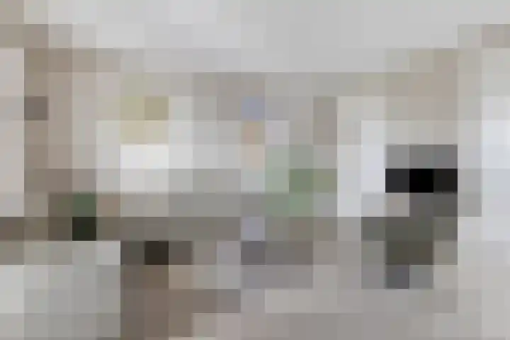 Zandvoorterweg 15 Eexterveen thumbnail 11