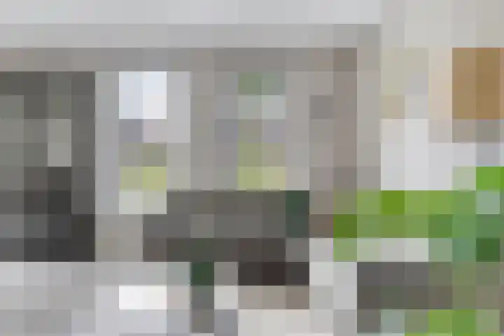 Zandvoorterweg 15 Eexterveen thumbnail 12