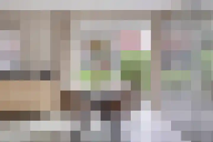 Zandvoorterweg 15 Eexterveen thumbnail 13
