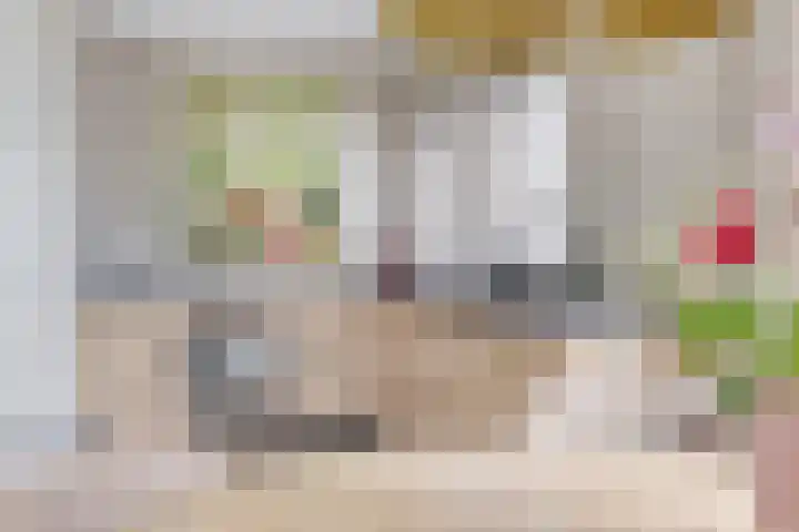 Zandvoorterweg 15 Eexterveen thumbnail 16