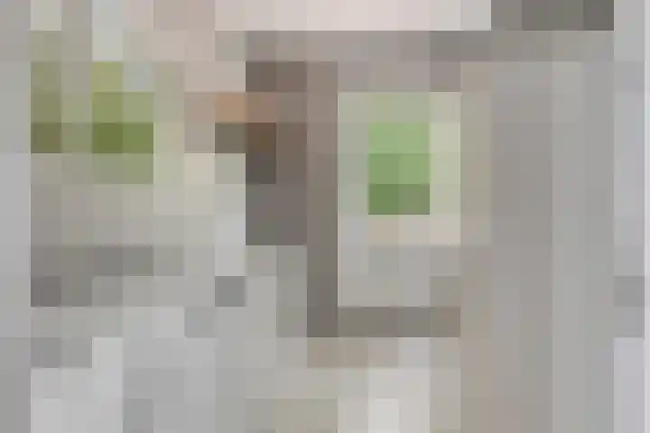 Zandvoorterweg 15 Eexterveen thumbnail 20