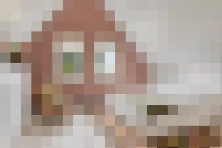 Zandvoorterweg 15 Eexterveen thumbnail 23