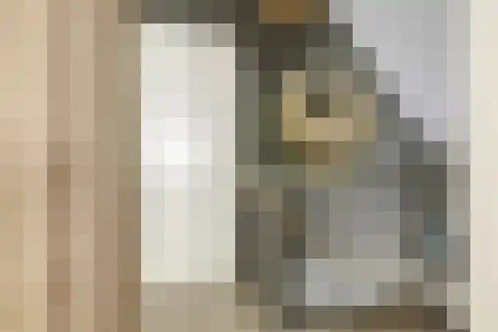Zandvoorterweg 15 Eexterveen thumbnail 25