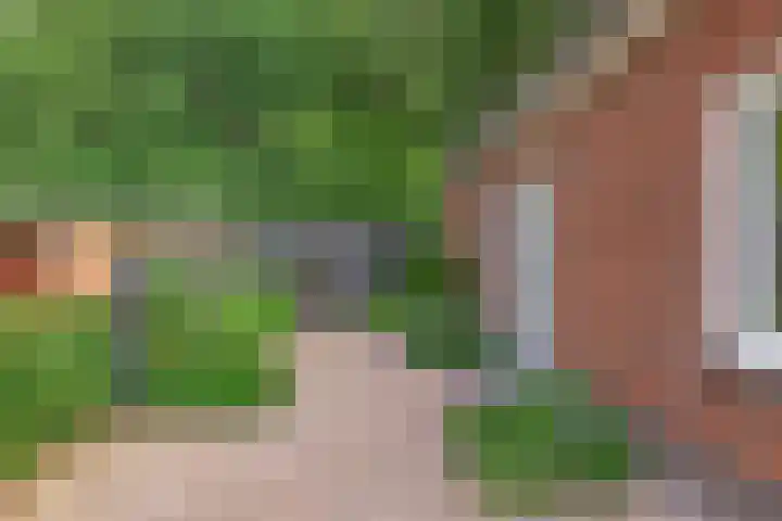 Zandvoorterweg 15 Eexterveen thumbnail 28
