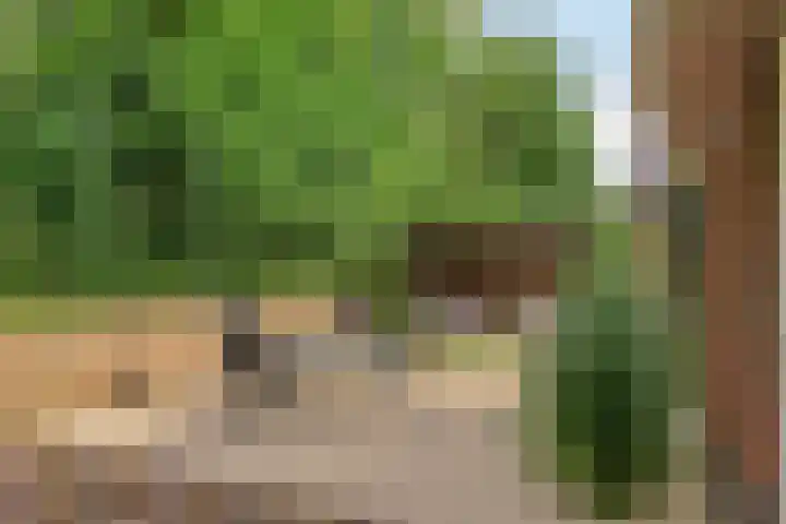 Zandvoorterweg 15 Eexterveen thumbnail 29