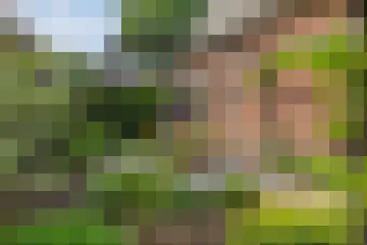 Zandvoorterweg 15 Eexterveen thumbnail 33