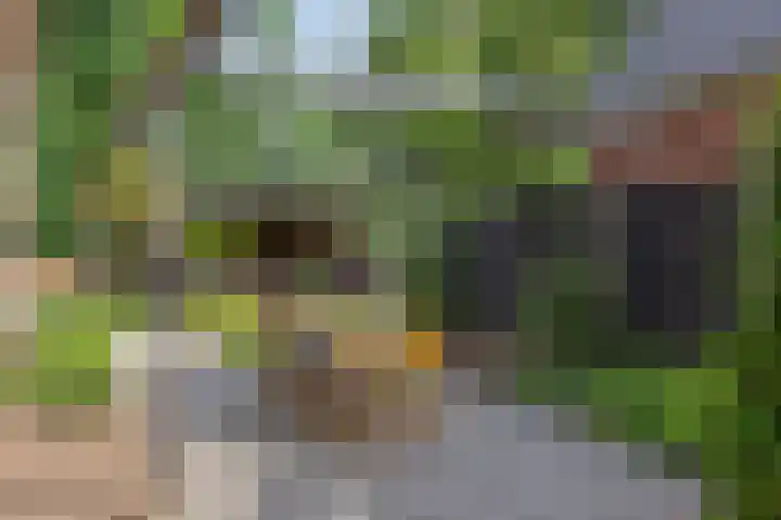 Zandvoorterweg 15 Eexterveen thumbnail 34