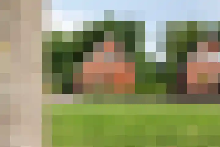 Zandvoorterweg 15 Eexterveen thumbnail 35