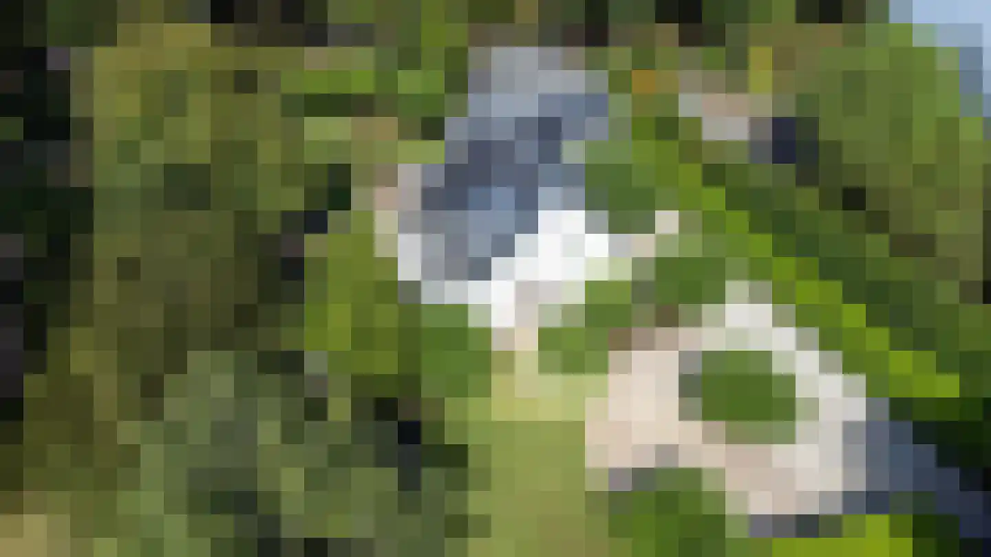 Zandvoorterweg 47 Aerdenhout thumbnail 44