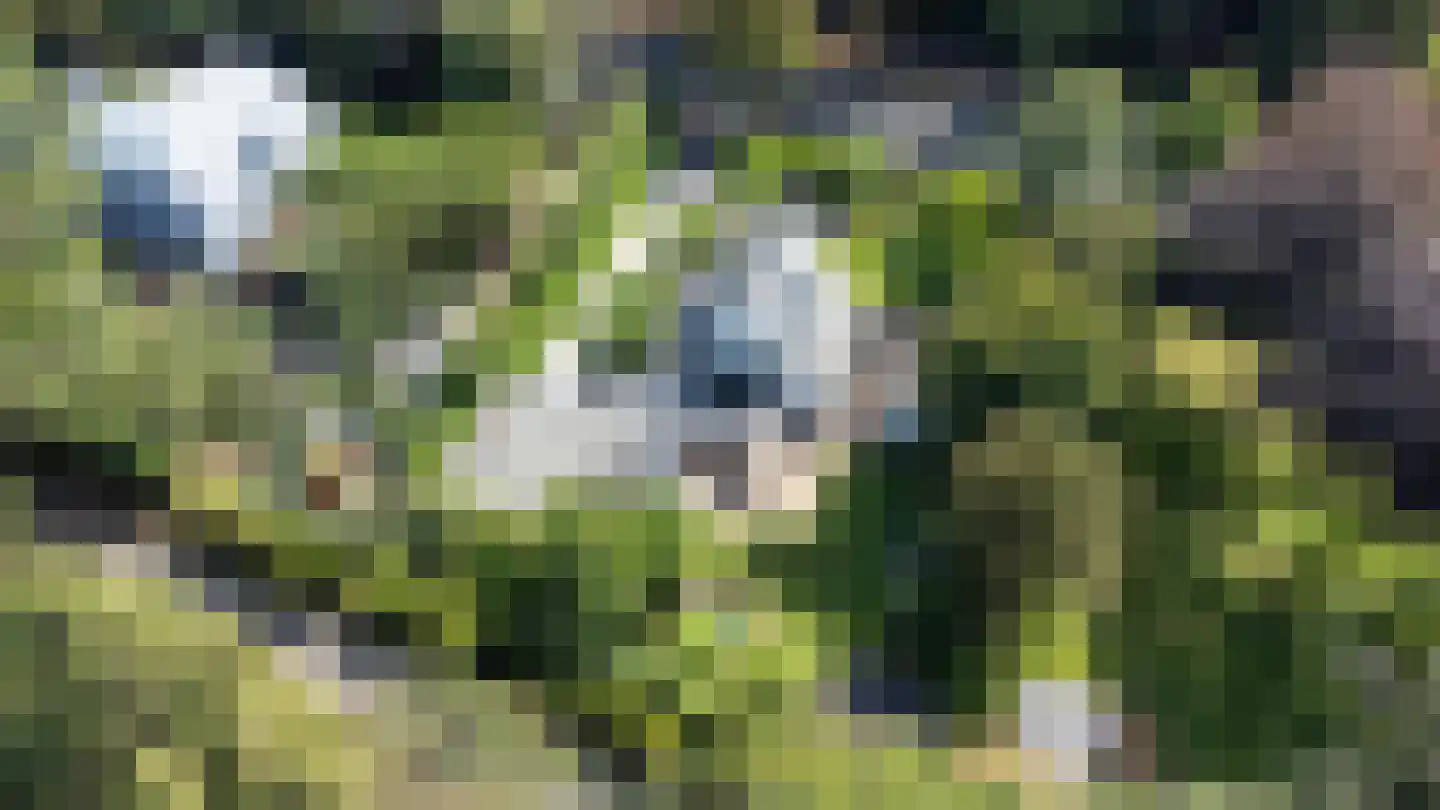 Zandvoorterweg 47 Aerdenhout thumbnail 46