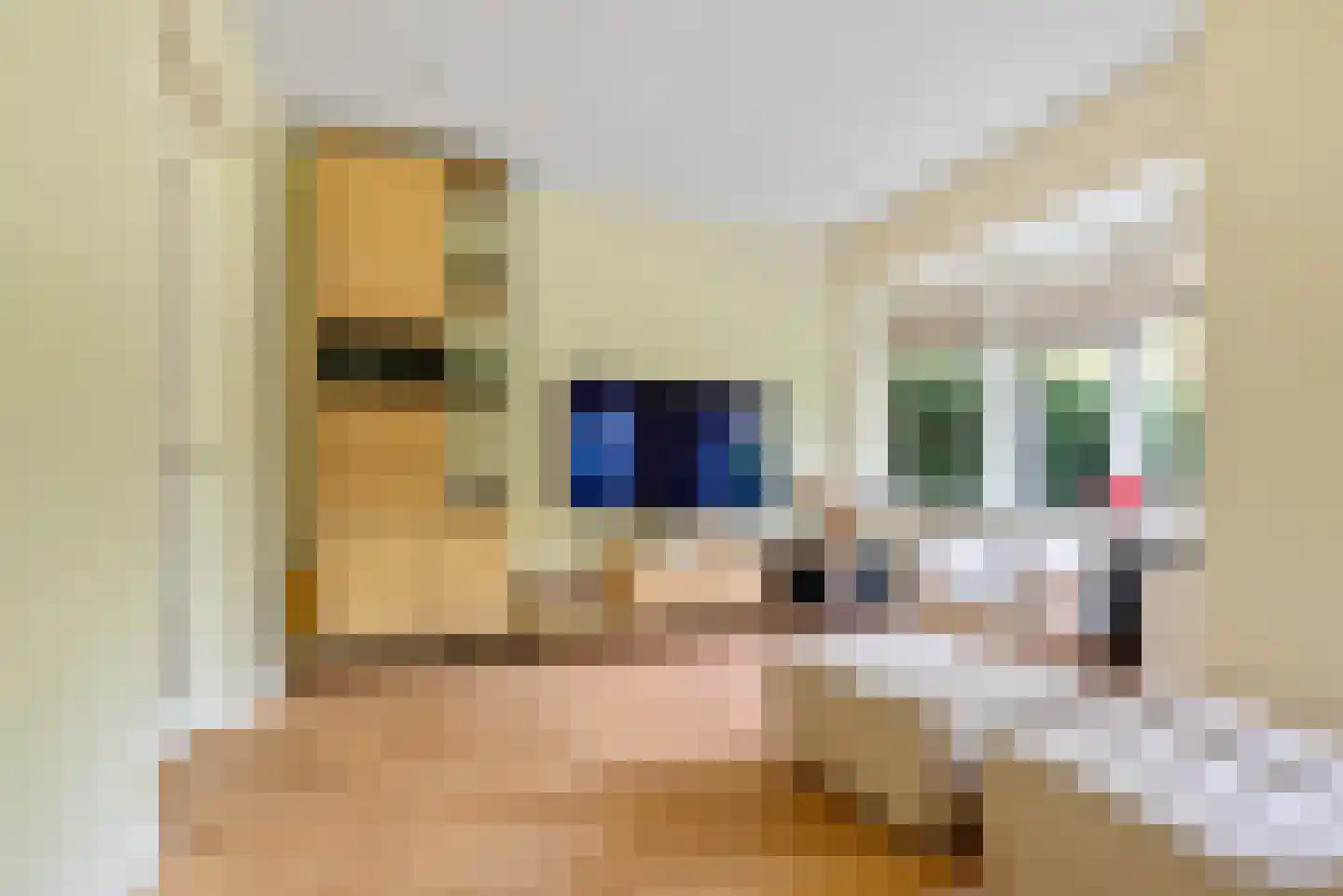 Zandvoorterweg 52 Aerdenhout thumbnail 14