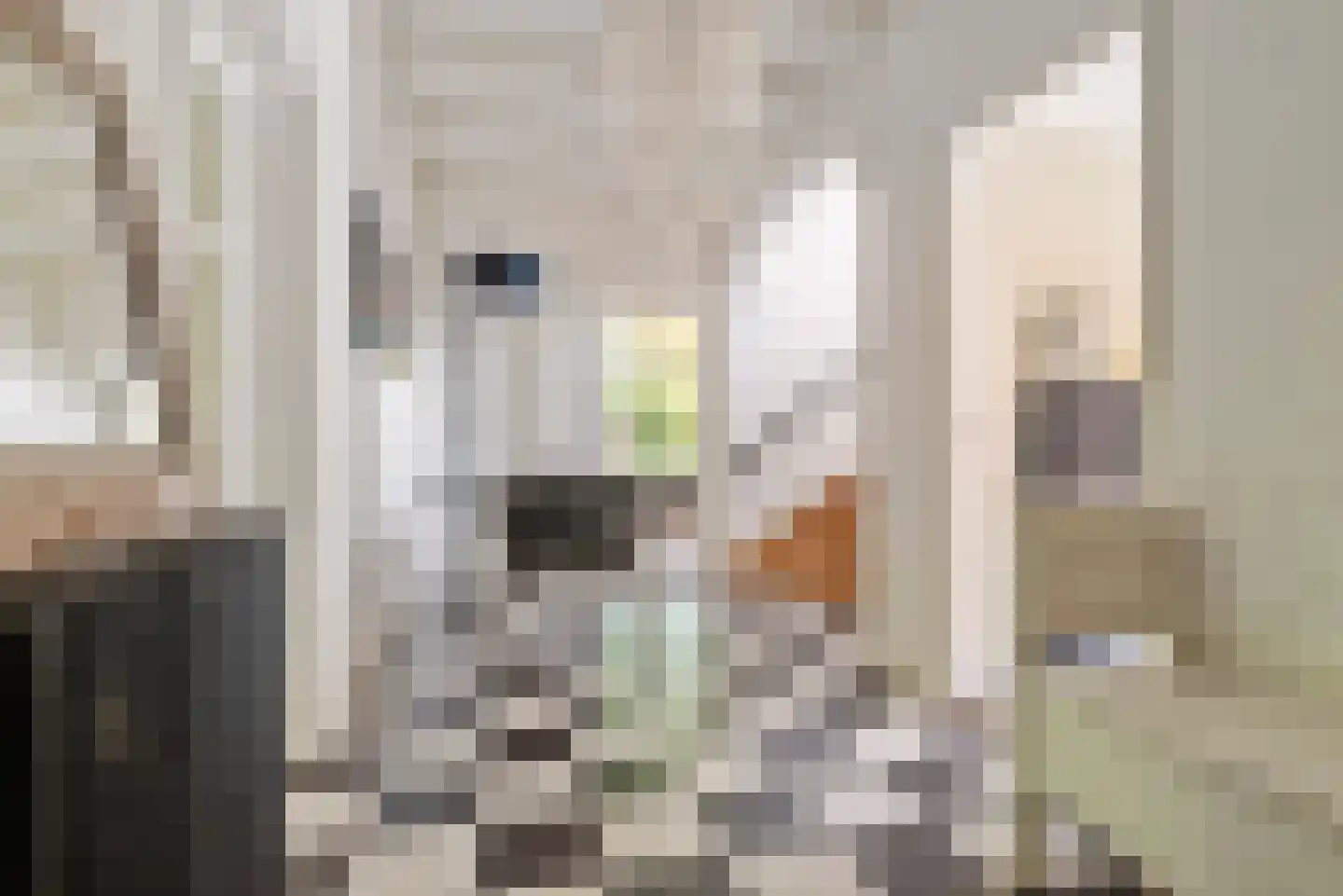 Zandvoorterweg 52 Aerdenhout thumbnail 23