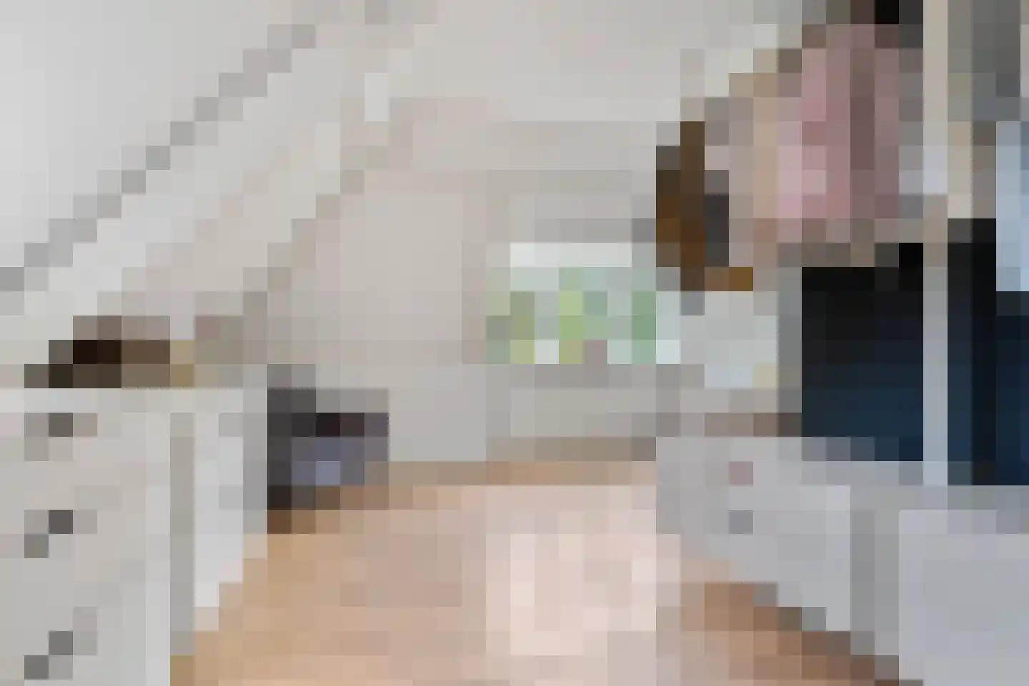 Zandvoorterweg 52 Aerdenhout thumbnail 46