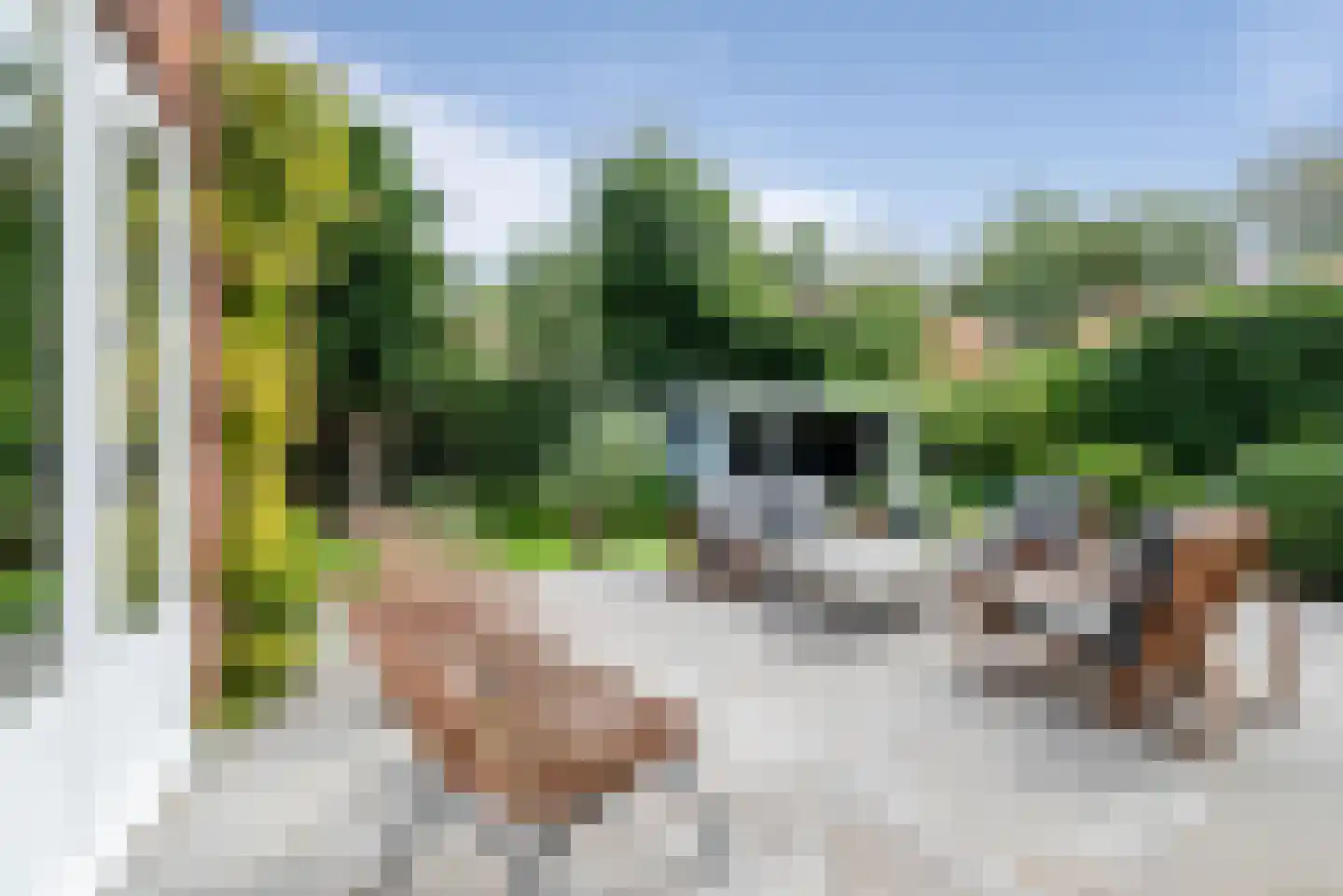 Zandvoorterweg 52 Aerdenhout thumbnail 56