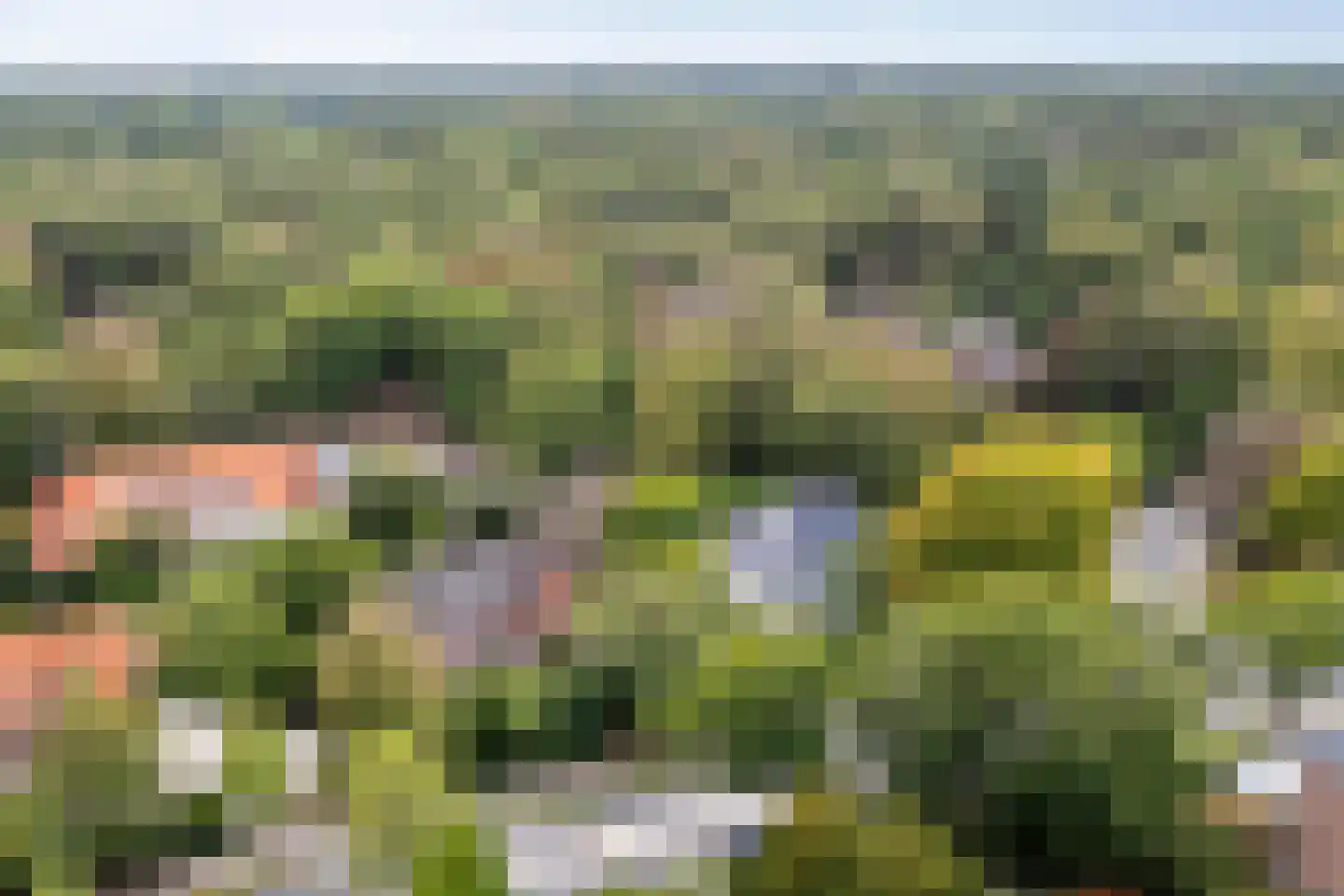 Zandvoorterweg 52 Aerdenhout thumbnail 73