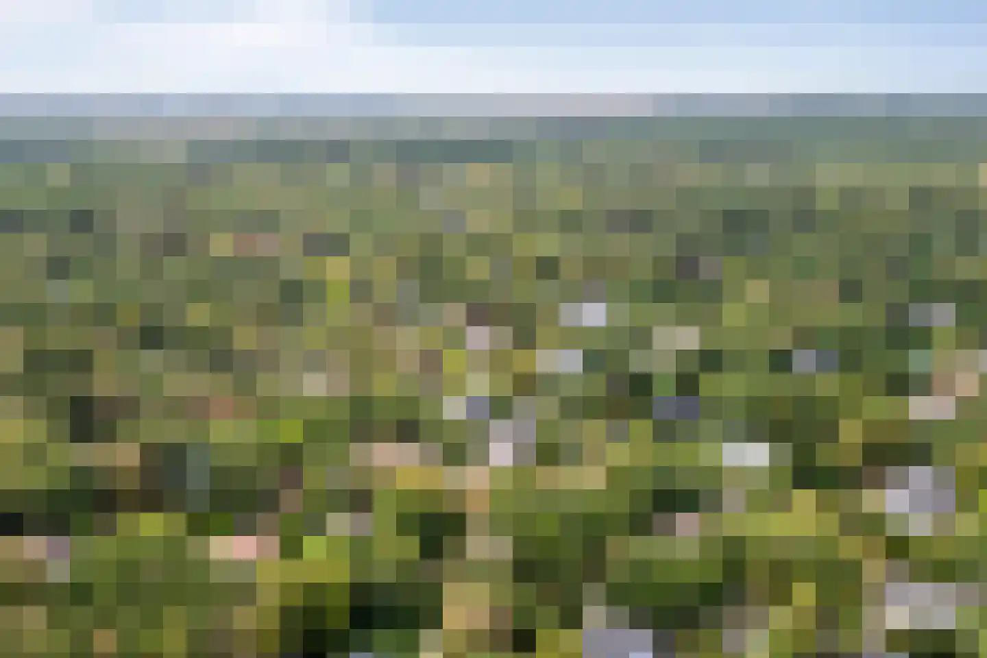 Zandvoorterweg 52 Aerdenhout thumbnail 74