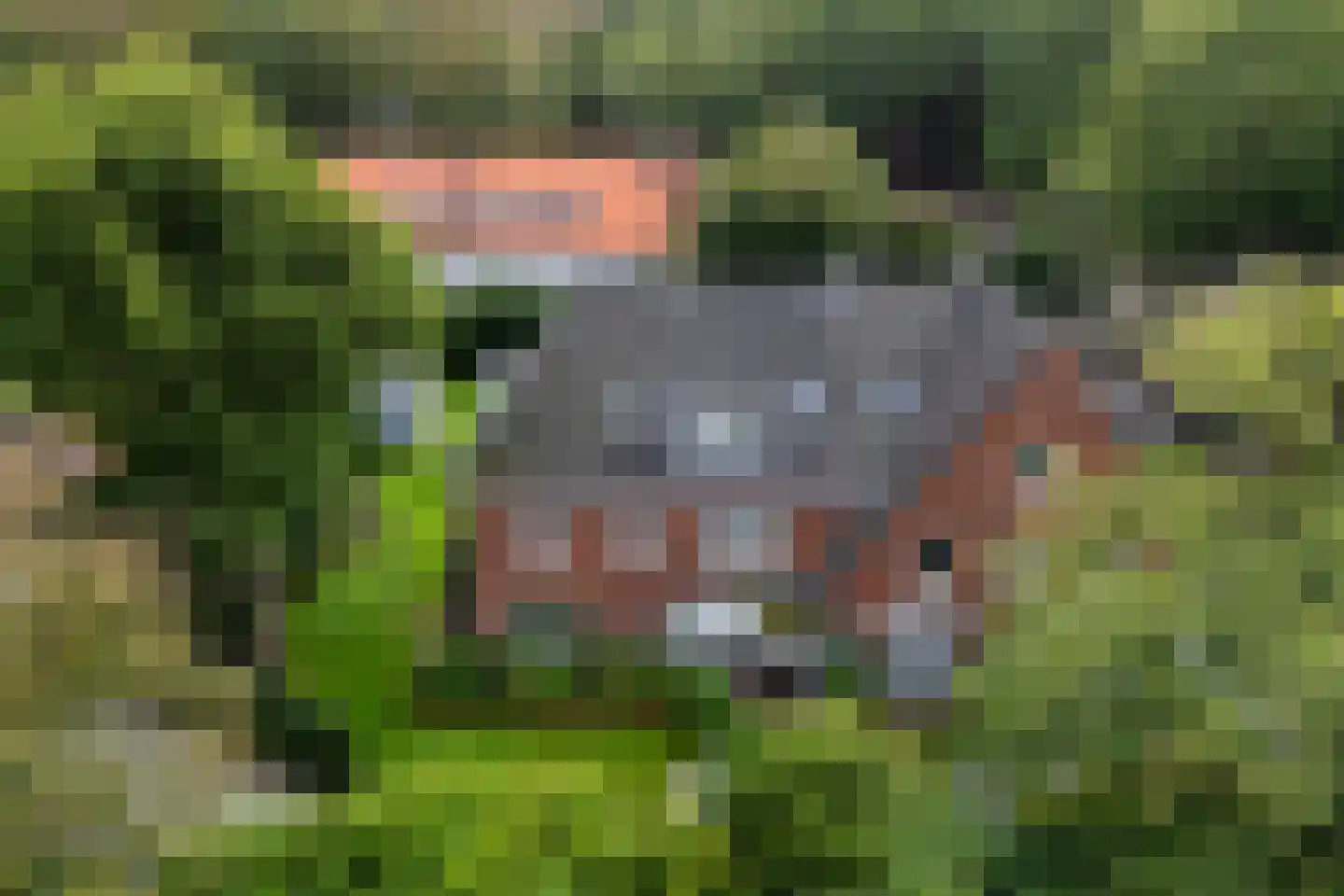 Zandvoorterweg 52 Aerdenhout thumbnail 76