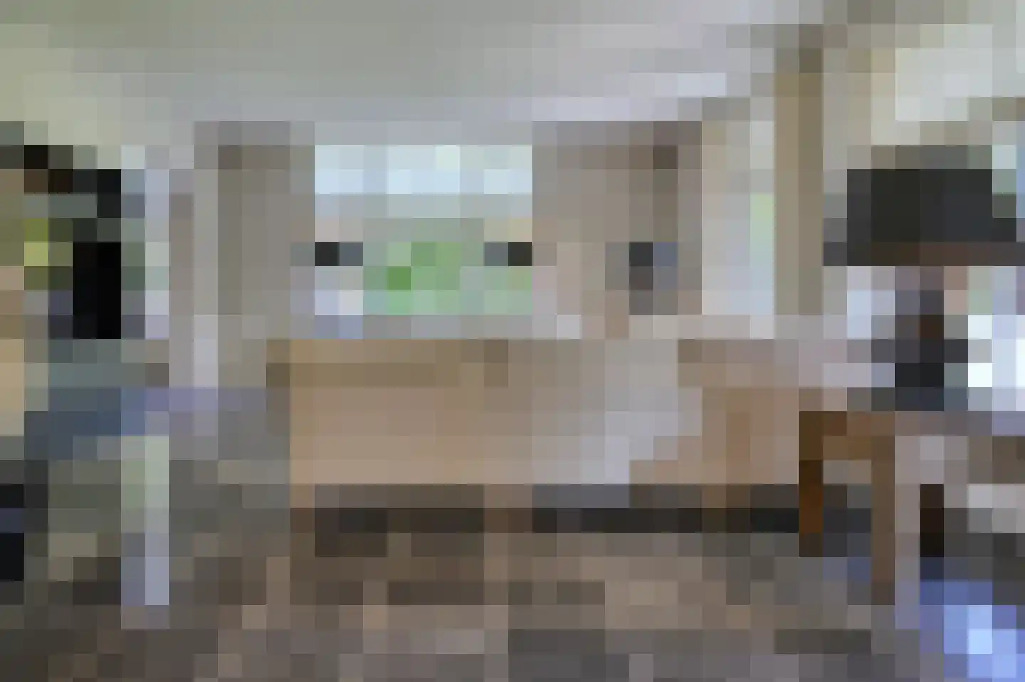 Zandvoorterweg 59 Aerdenhout thumbnail 21