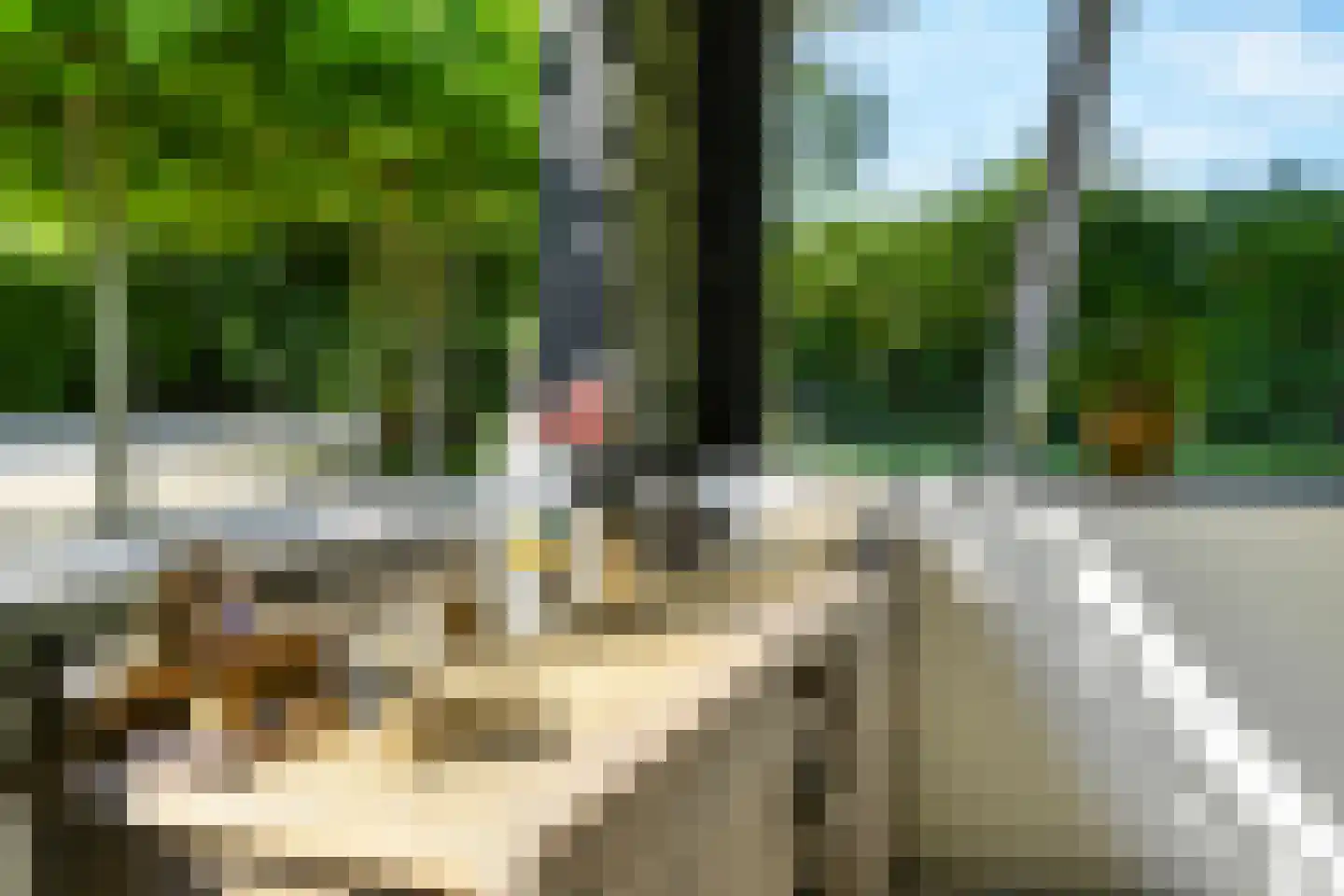 Zandvoorterweg 59 Aerdenhout thumbnail 49