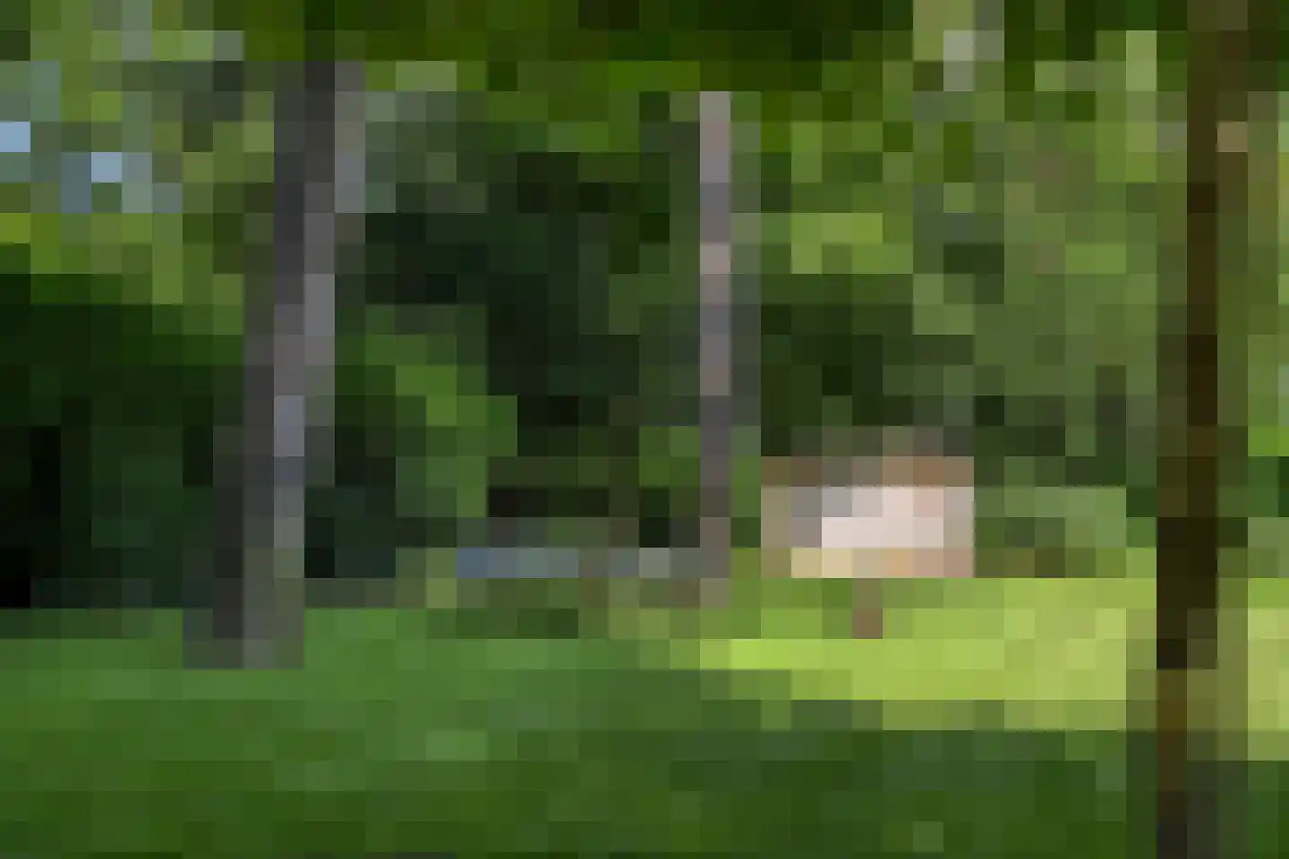 Zandvoorterweg 59 Aerdenhout thumbnail 51