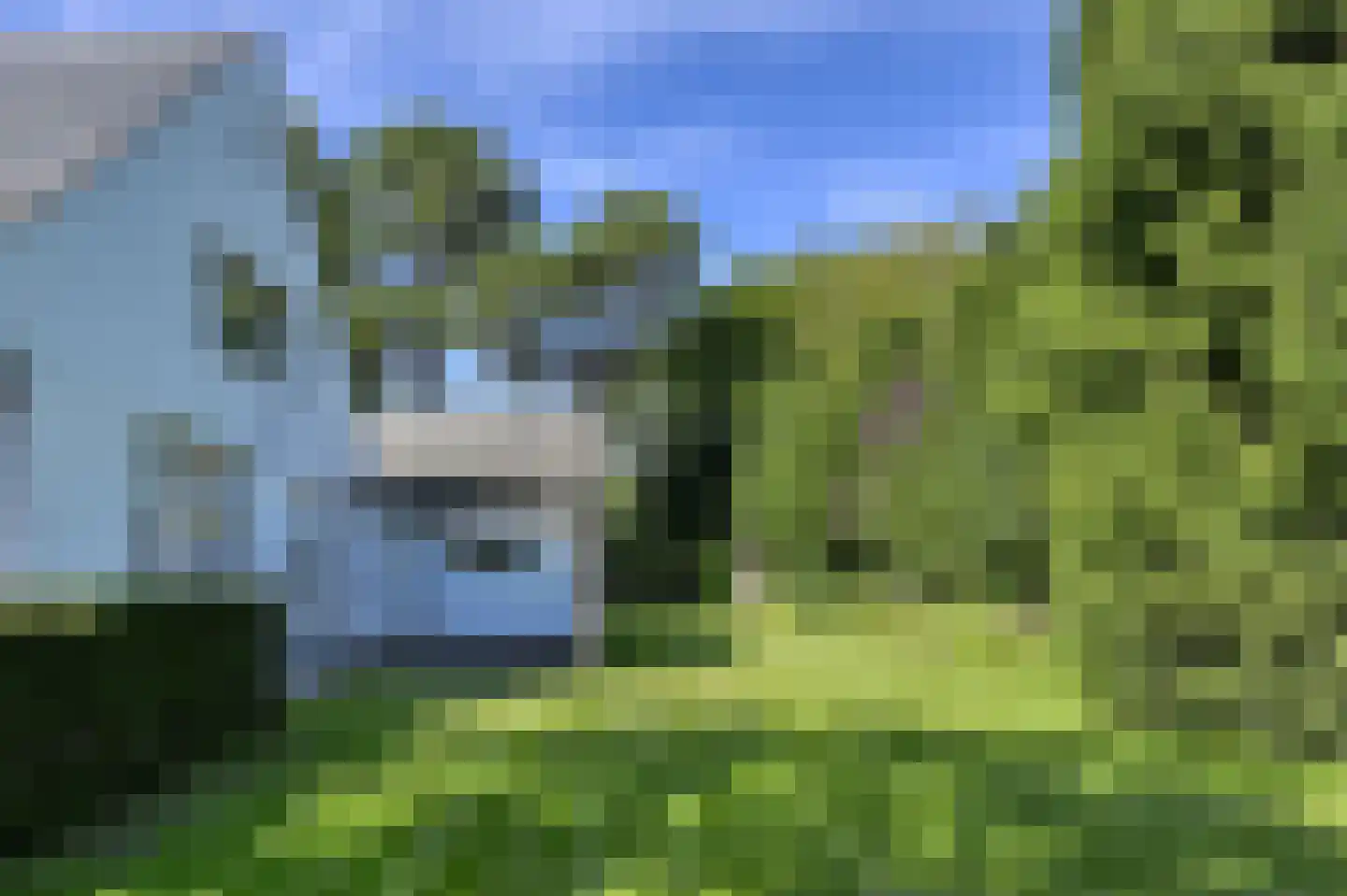 Zandvoorterweg 59 Aerdenhout thumbnail 54
