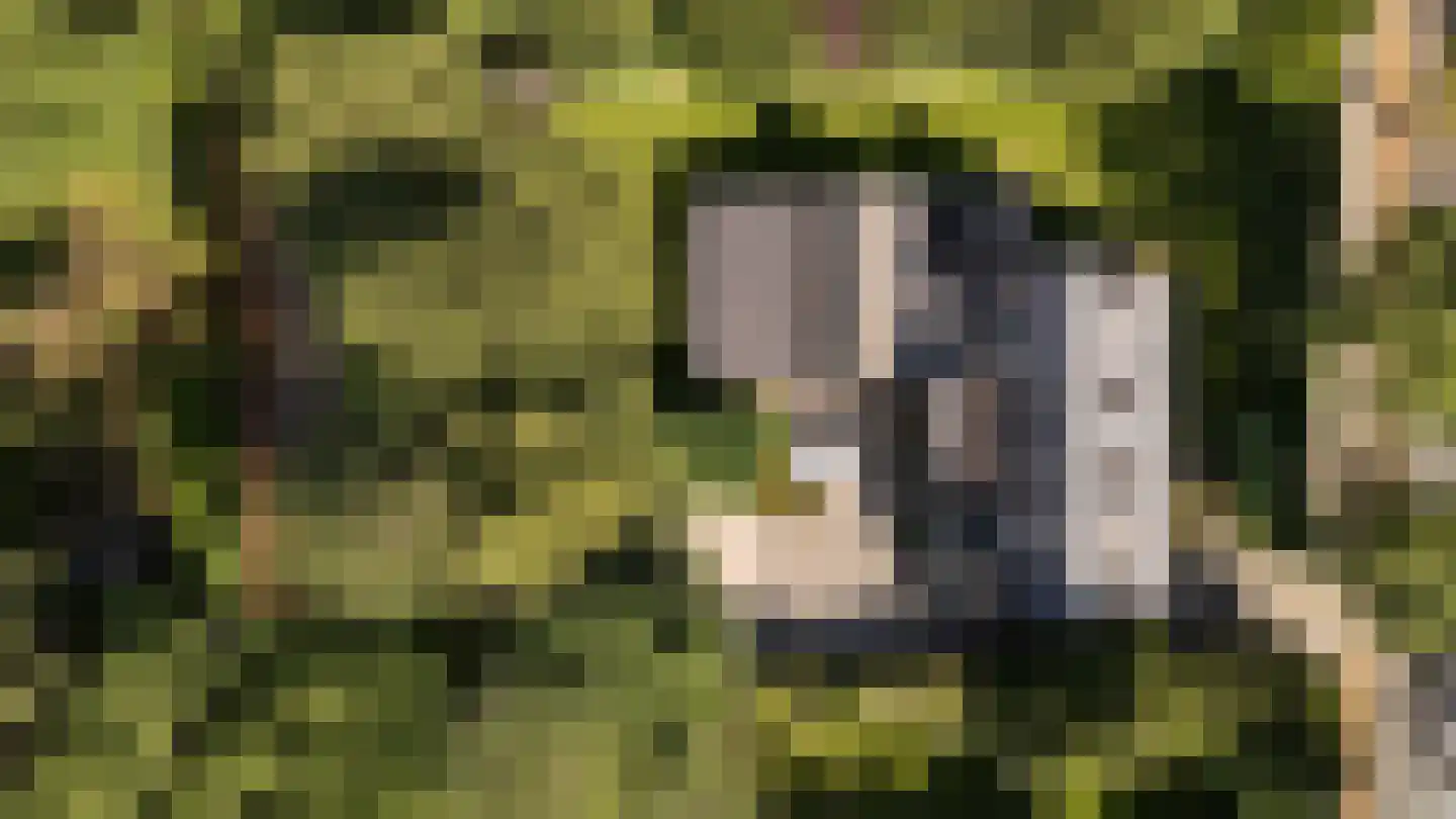 Zandvoorterweg 59 Aerdenhout thumbnail 56