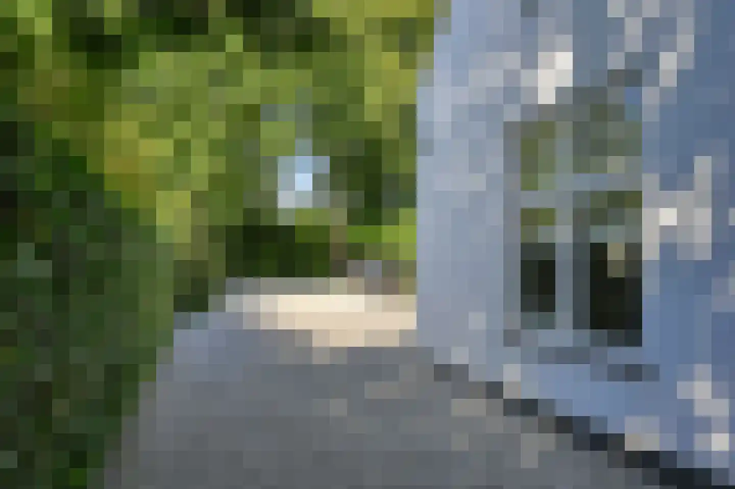 Zandvoorterweg 59 Aerdenhout thumbnail 6