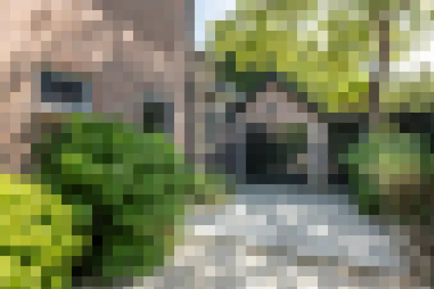Zandvoorterweg 80 Aerdenhout thumbnail 35