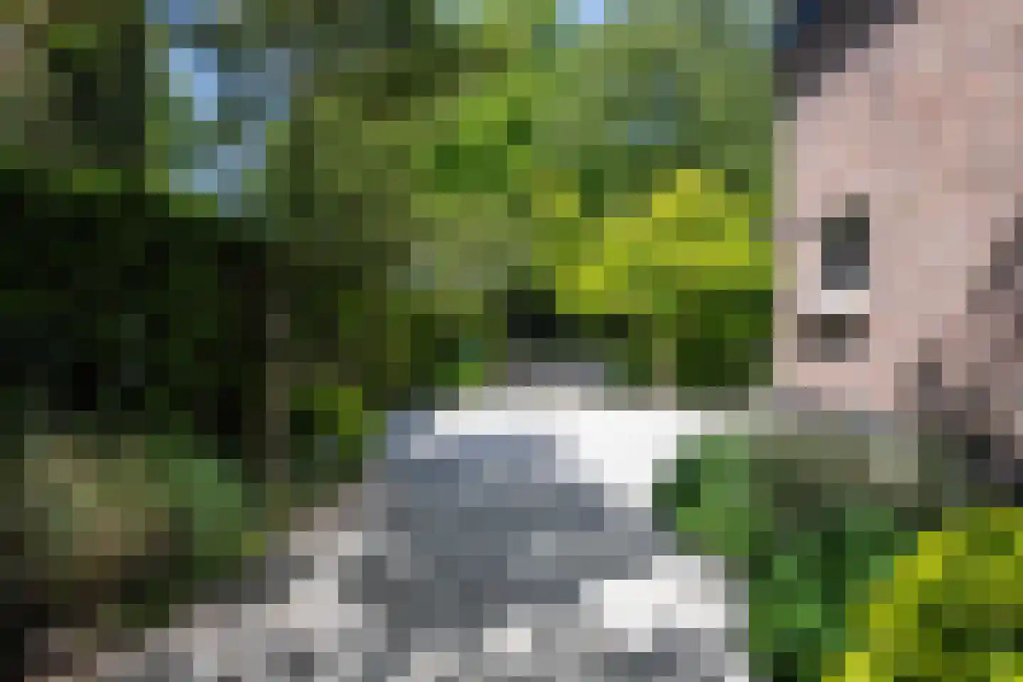 Zandvoorterweg 80 Aerdenhout thumbnail 37