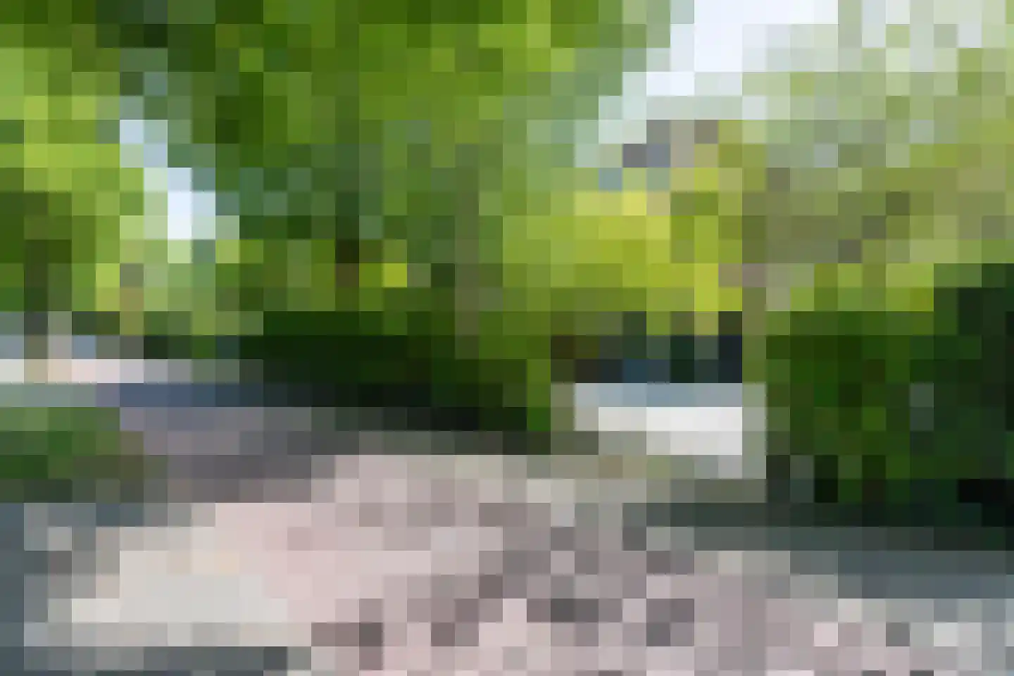 Zandvoorterweg 80 Aerdenhout thumbnail 38