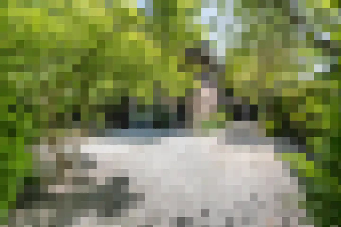 Zandvoorterweg 80 Aerdenhout thumbnail 5