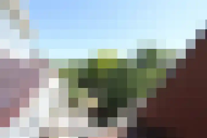 Zandvoortselaan 101 Heemstede thumbnail 20