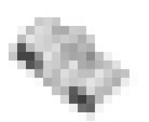 Zandvoortselaan 101 Heemstede thumbnail 27