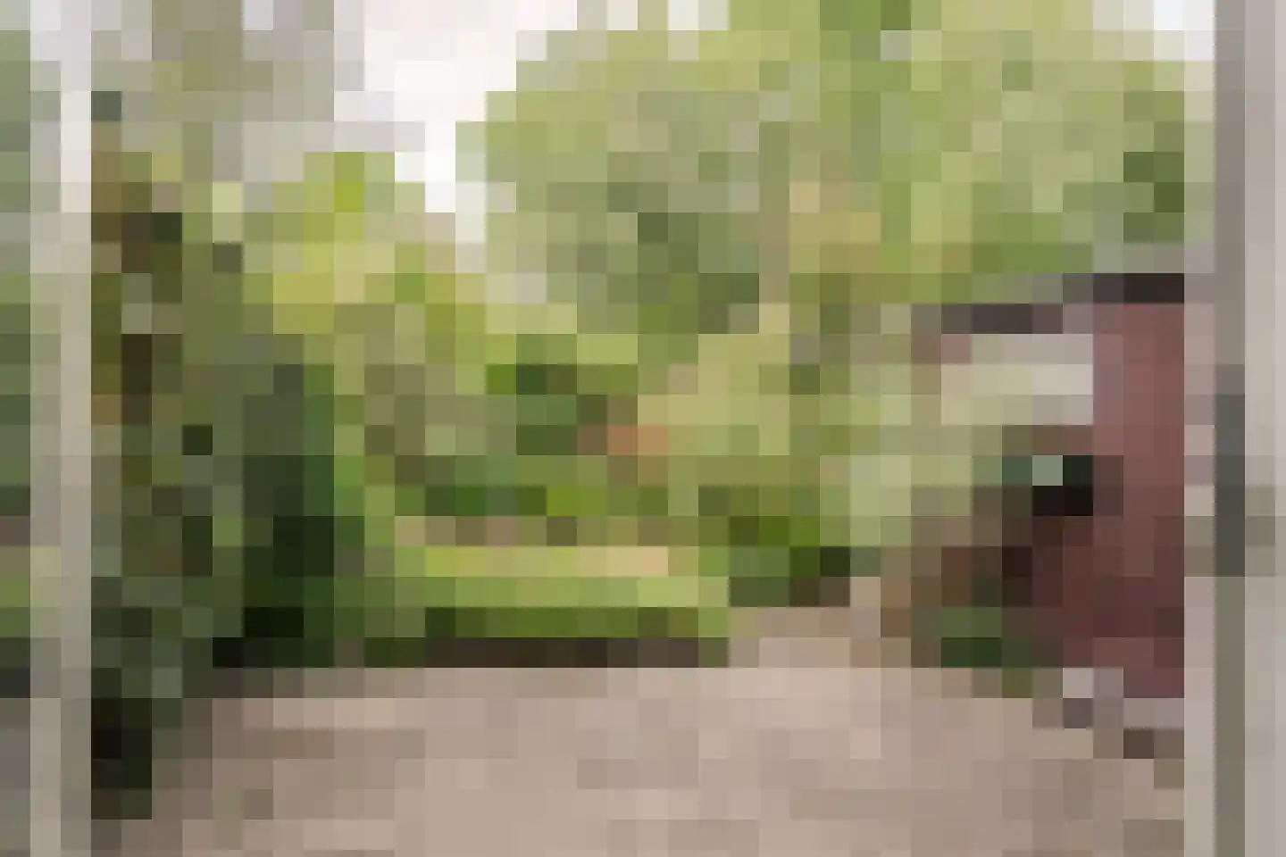 Zandvoortselaan 113 Heemstede thumbnail 12