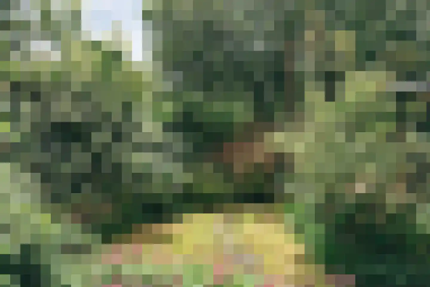 Zandvoortselaan 113 Heemstede thumbnail 13
