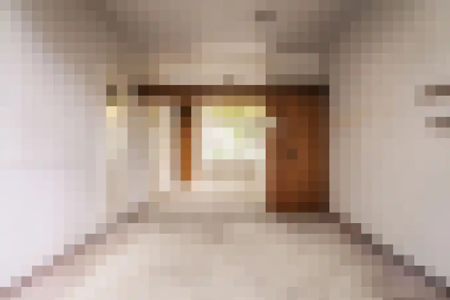 Zandvoortselaan 113 Heemstede thumbnail 6